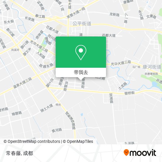 常春藤地图
