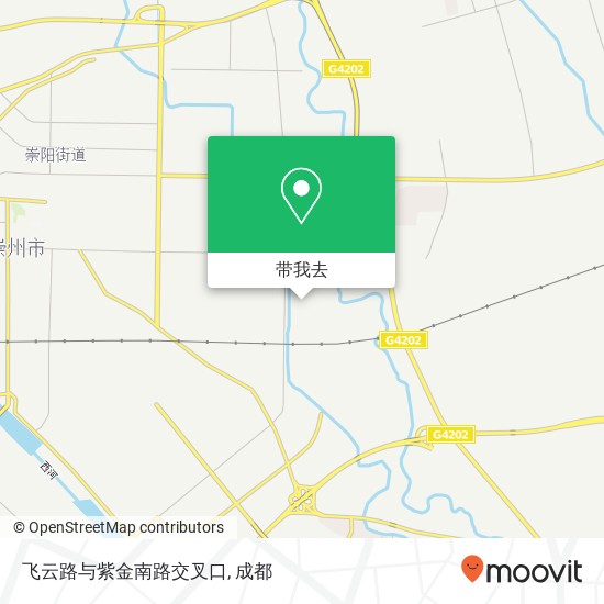 飞云路与紫金南路交叉口地图