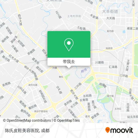 陈氏皮鞋美容医院地图