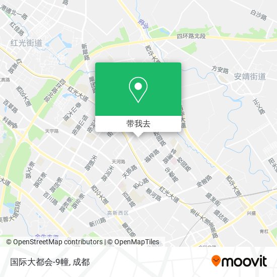 国际大都会-9幢地图