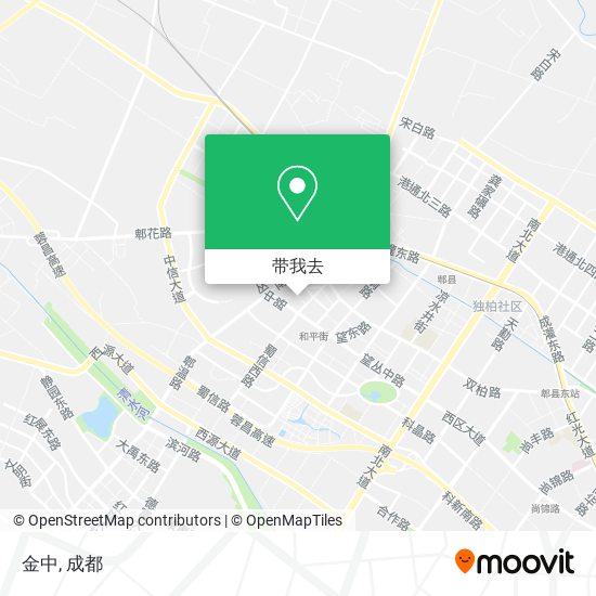 金中地图