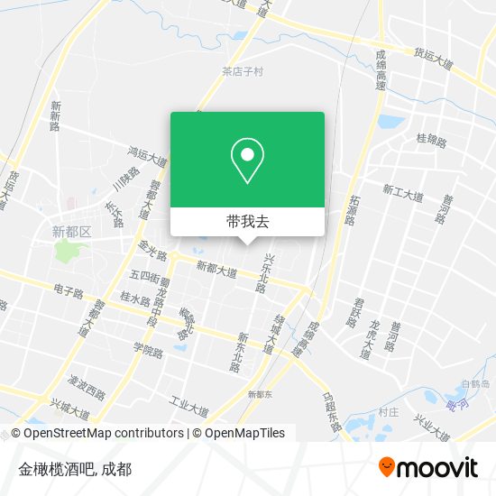 金橄榄酒吧地图