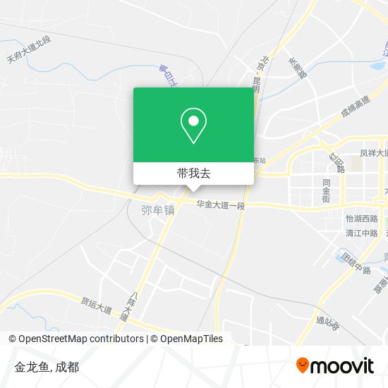 金龙鱼地图