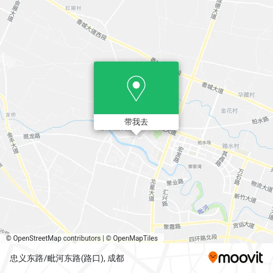 忠义东路/毗河东路(路口)地图