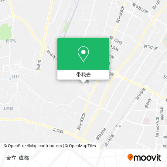 金立地图