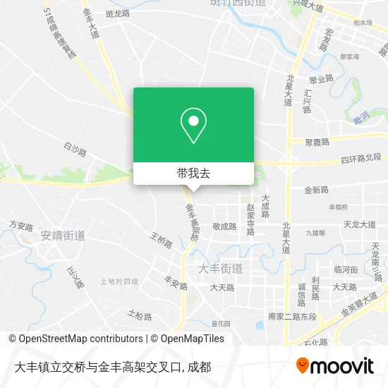 大丰镇立交桥与金丰高架交叉口地图