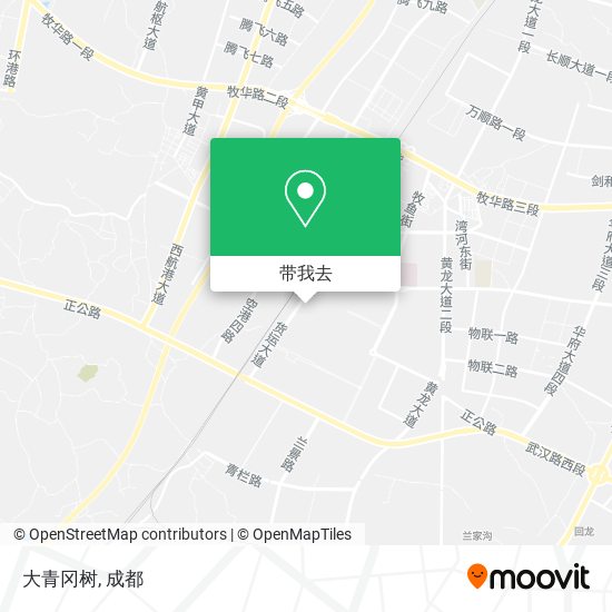 大青冈树地图