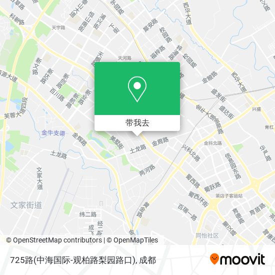 725路(中海国际-观柏路梨园路口)地图