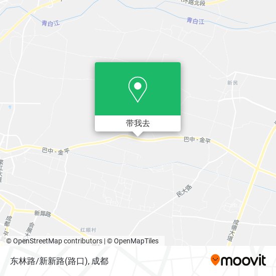 东林路/新新路(路口)地图