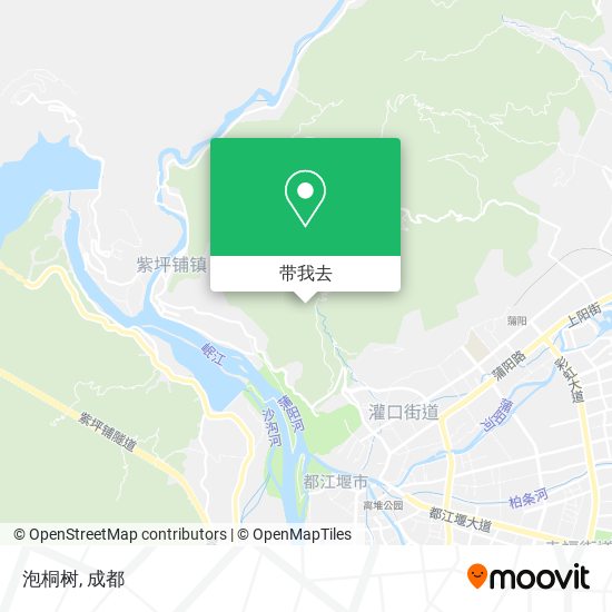 泡桐树地图
