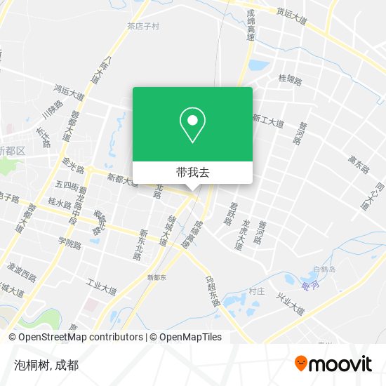 泡桐树地图