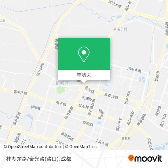 桂湖东路/金光路(路口)地图