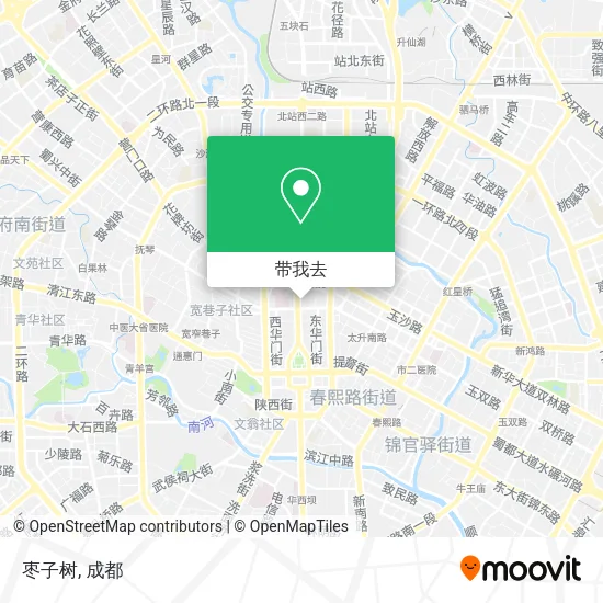 枣子树地图