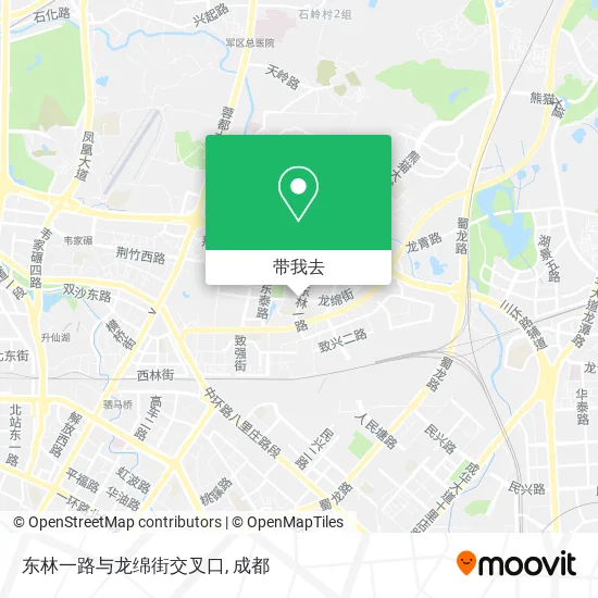 东林一路与龙绵街交叉口地图
