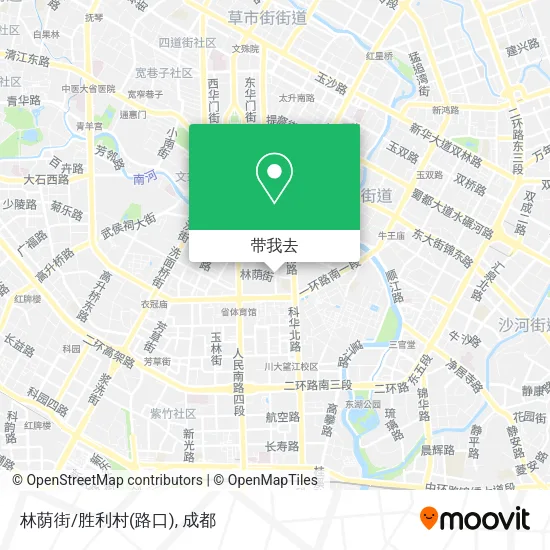 林荫街/胜利村(路口)地图