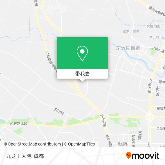 九龙王大包地图