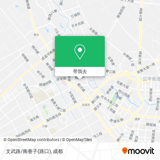 文武路/南巷子(路口)地图