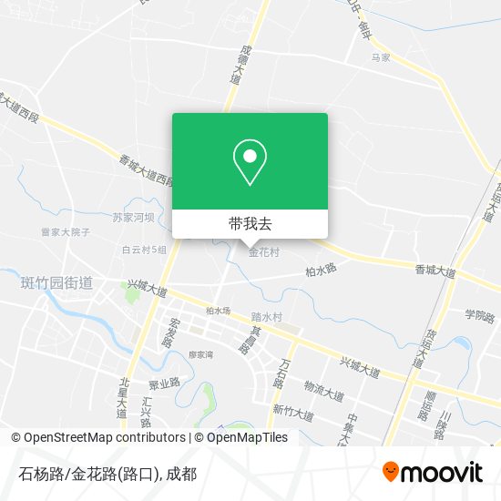 石杨路/金花路(路口)地图