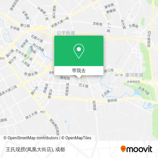 王氏现捞(凤凰大街店)地图
