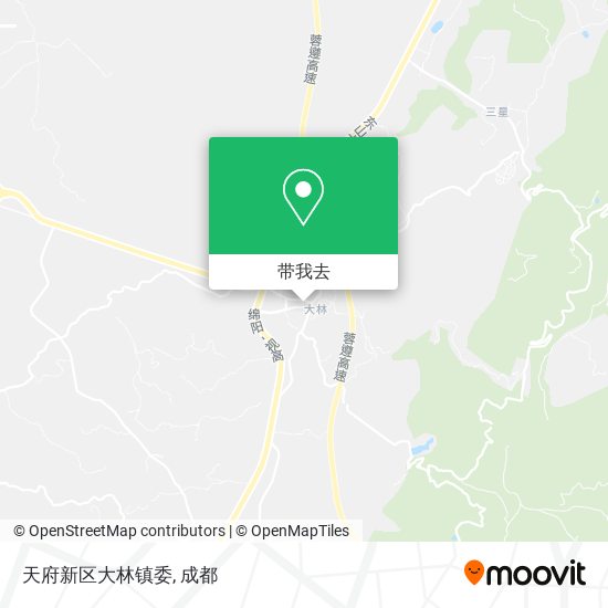 天府新区大林镇委地图