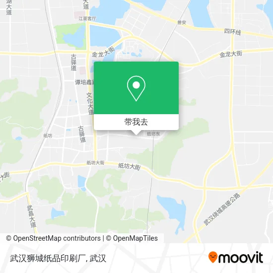 武汉狮城纸品印刷厂地图