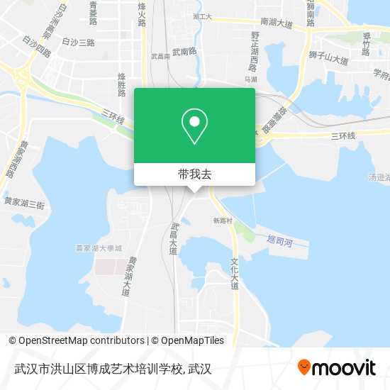 武汉市洪山区博成艺术培训学校地图