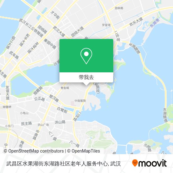 武昌区水果湖街东湖路社区老年人服务中心地图