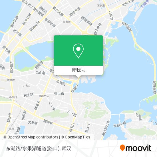 东湖路/水果湖隧道(路口)地图