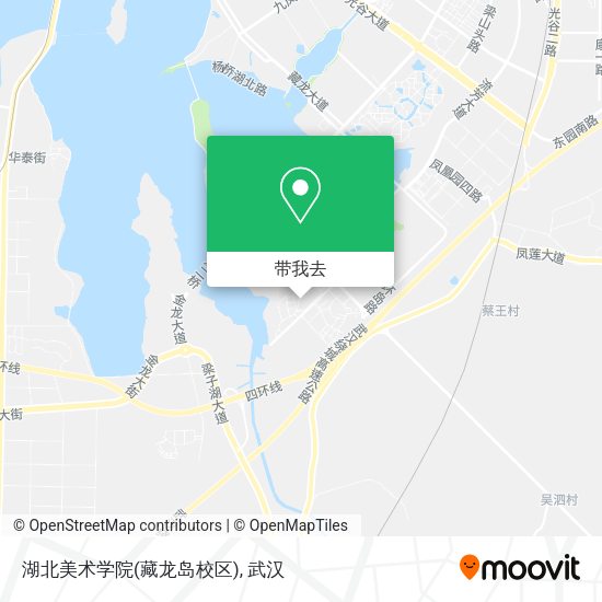 湖北美术学院(藏龙岛校区)地图