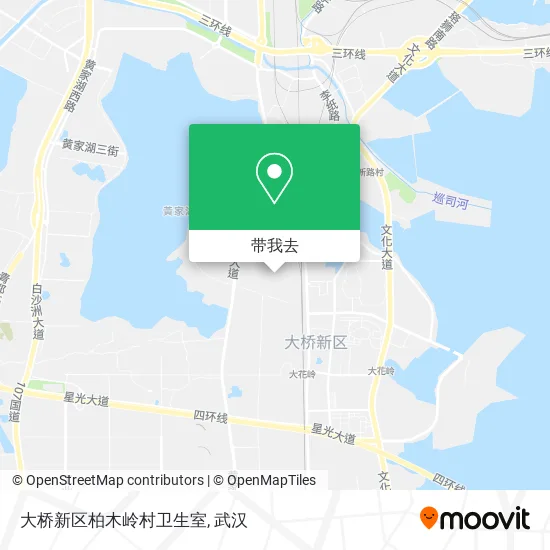 大桥新区柏木岭村卫生室地图