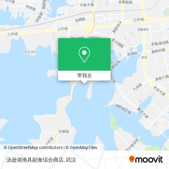 汤逊湖渔具副食综合商店地图