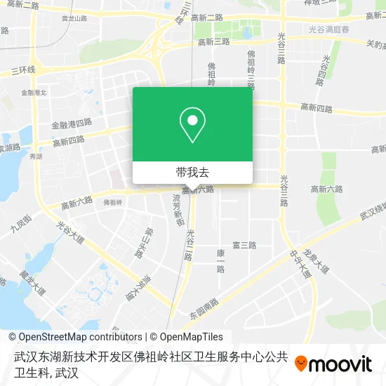 武汉东湖新技术开发区佛祖岭社区卫生服务中心公共卫生科地图