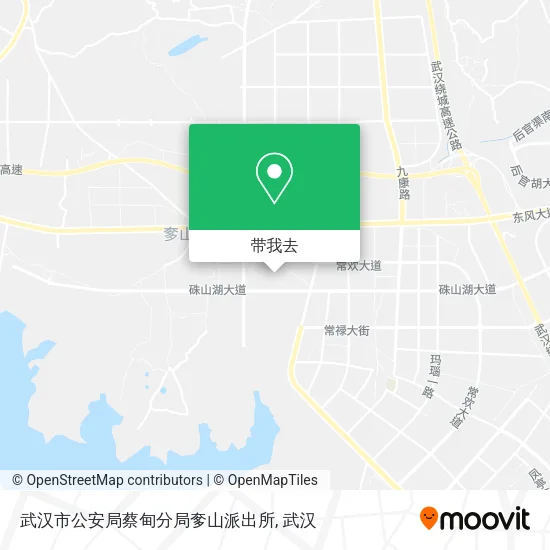 武汉市公安局蔡甸分局奓山派出所地图
