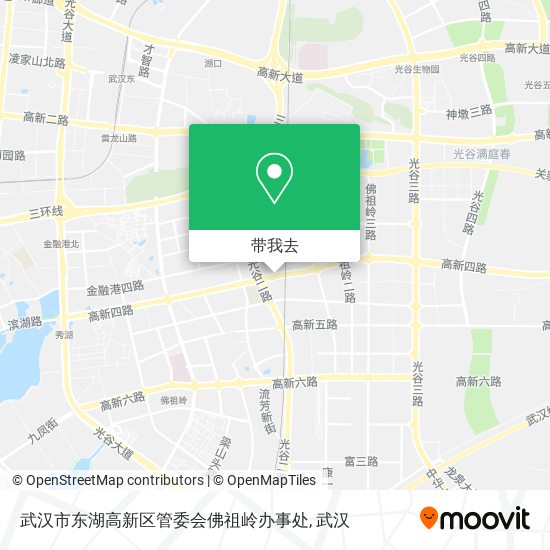 武汉市东湖高新区管委会佛祖岭办事处地图