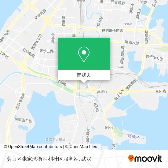 洪山区张家湾街胜利社区服务站地图