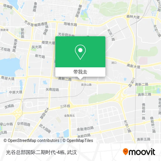 光谷总部国际二期时代-4栋地图