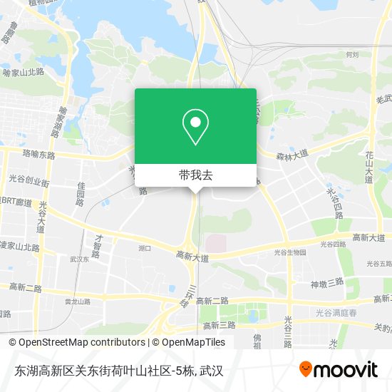 东湖高新区关东街荷叶山社区-5栋地图