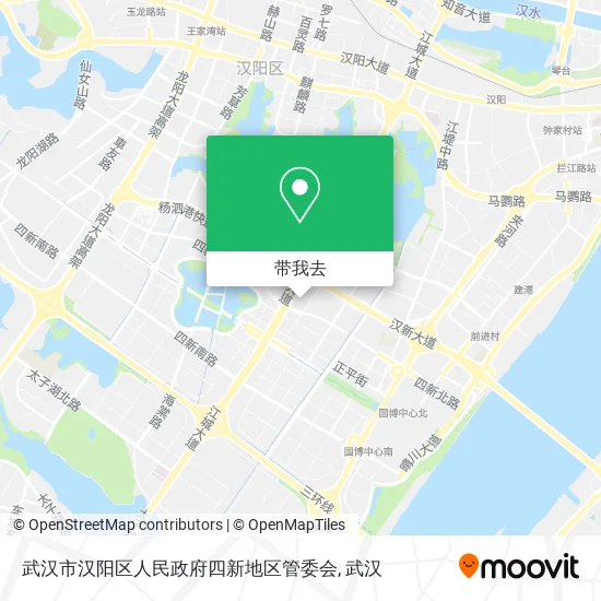 武汉市汉阳区人民政府四新地区管委会地图