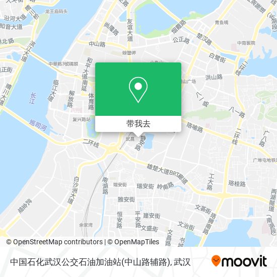 中国石化武汉公交石油加油站(中山路辅路)地图