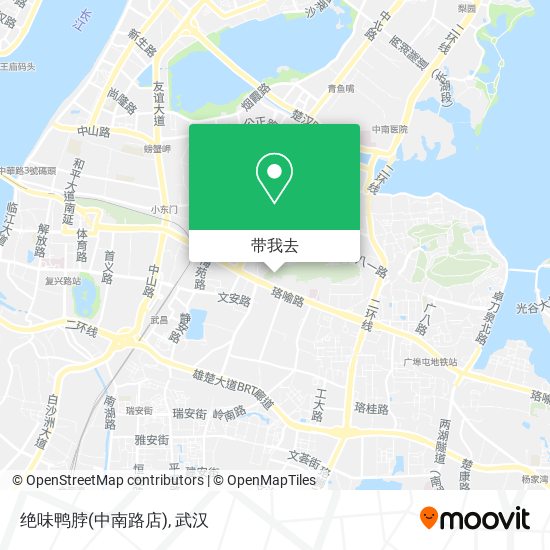 绝味鸭脖(中南路店)地图