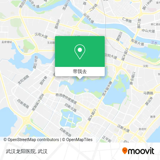 武汉龙阳医院地图