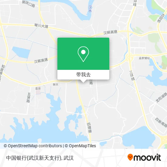 中国银行(武汉新天支行)地图