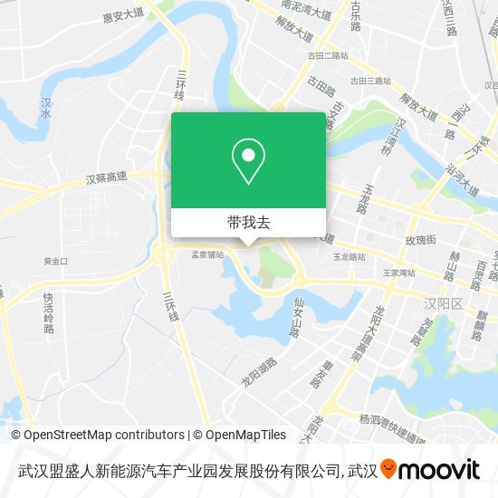 武汉盟盛人新能源汽车产业园发展股份有限公司地图