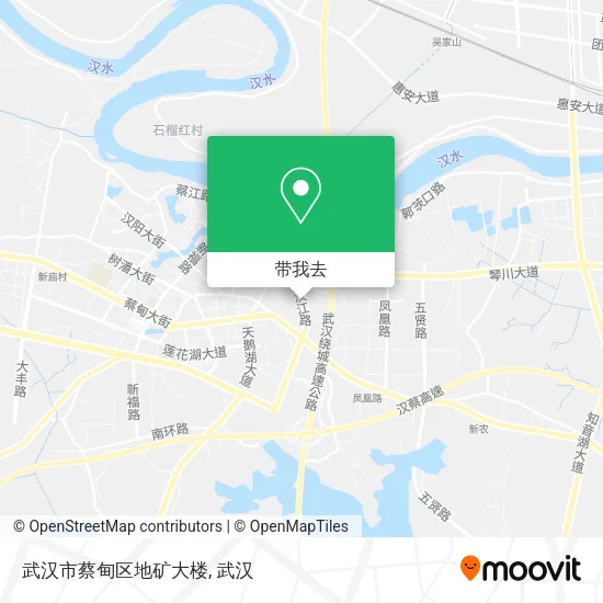 武汉市蔡甸区地矿大楼地图