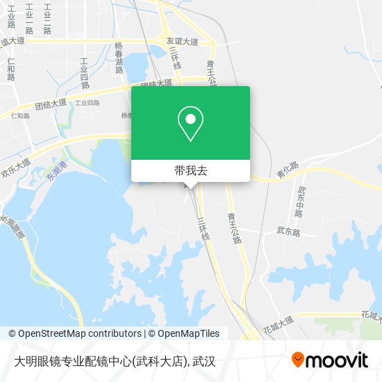 大明眼镜专业配镜中心(武科大店)地图