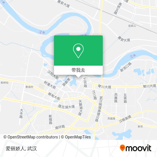 爱丽娇人地图