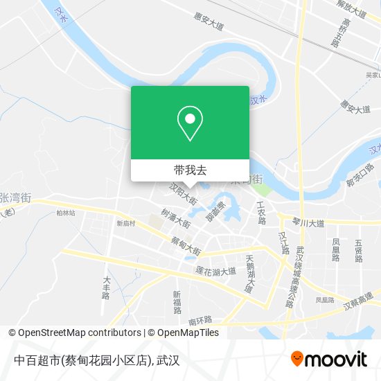 中百超市(蔡甸花园小区店)地图