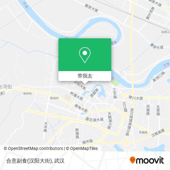 合意副食(汉阳大街)地图