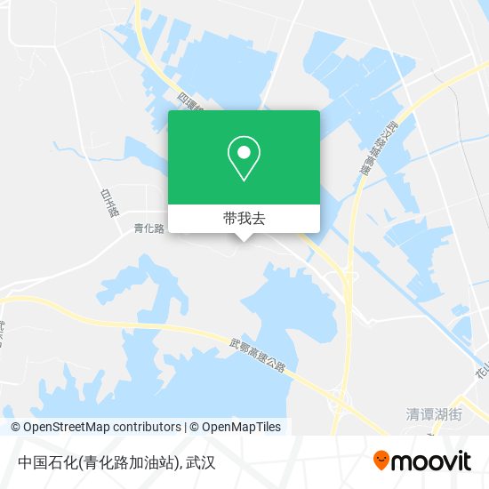 中国石化(青化路加油站)地图