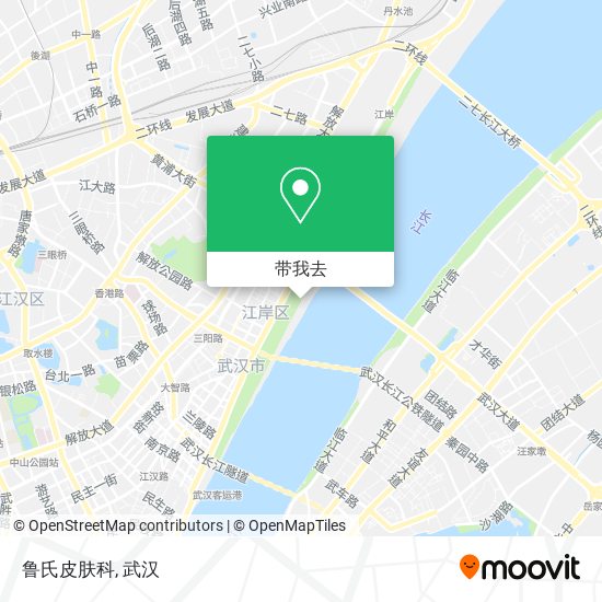 鲁氏皮肤科地图